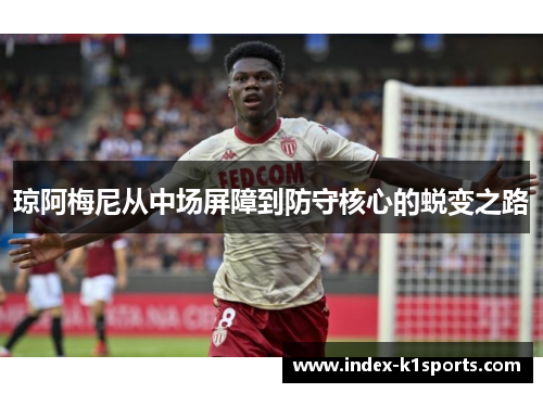 琼阿梅尼从中场屏障到防守核心的蜕变之路