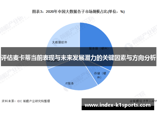 评估麦卡蒂当前表现与未来发展潜力的关键因素与方向分析